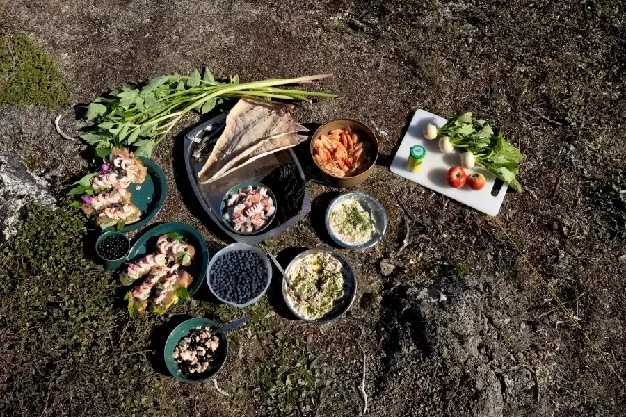 groenlandia-sul-meal