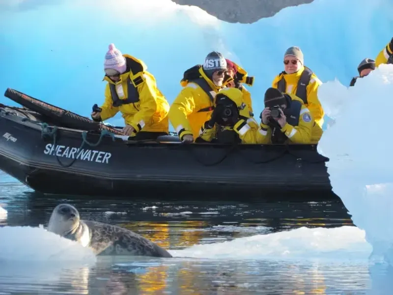 groenlandia-northwest-foca