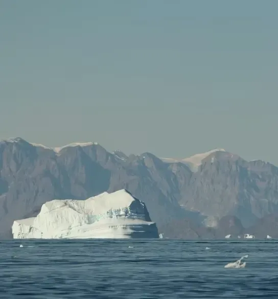 Três Ilhas Árticas - Spitsbergen, Groenlândia e Islândia