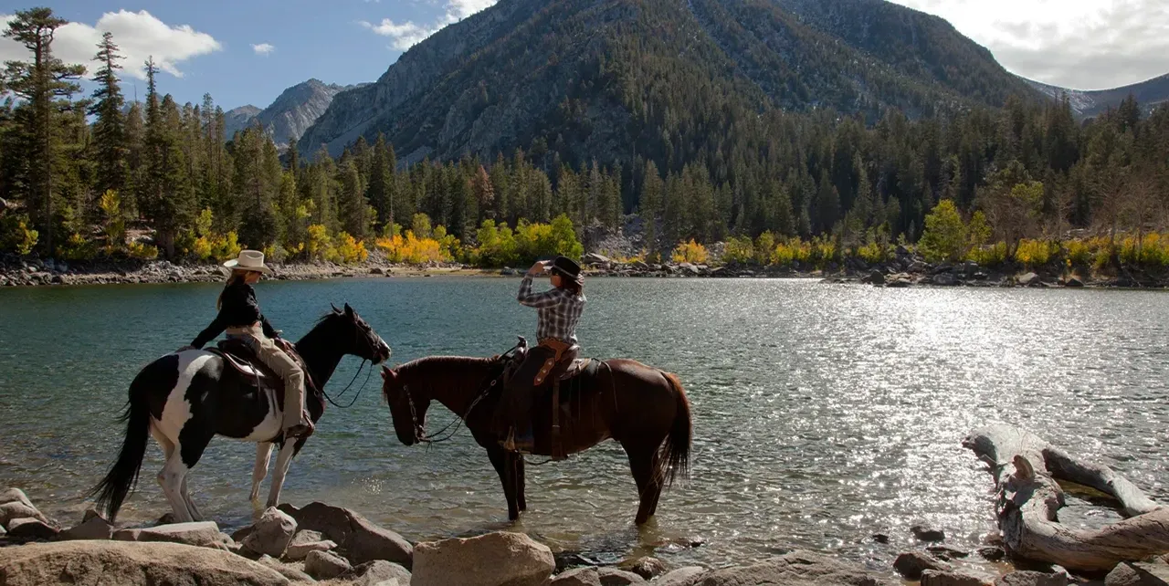 Pessoa em camelo no deserto
