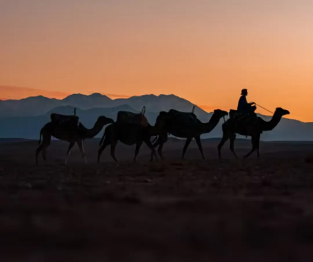 Pessoa em camelo no deserto