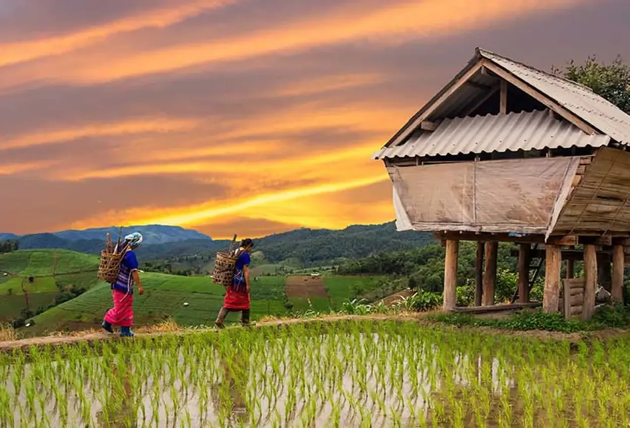 Norte com Mai Chau