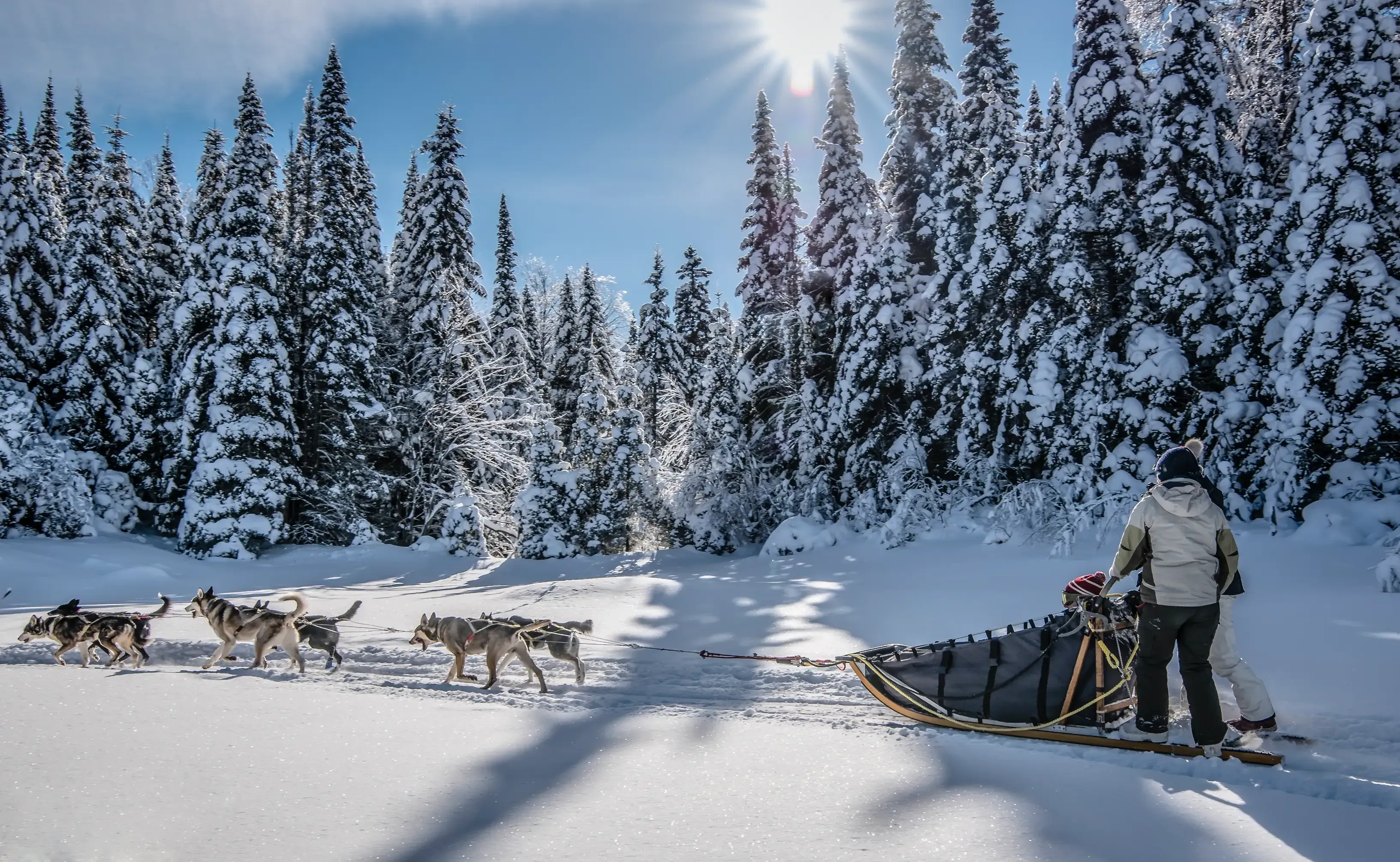Experiência de Inverno em Montreal e Tremblant
