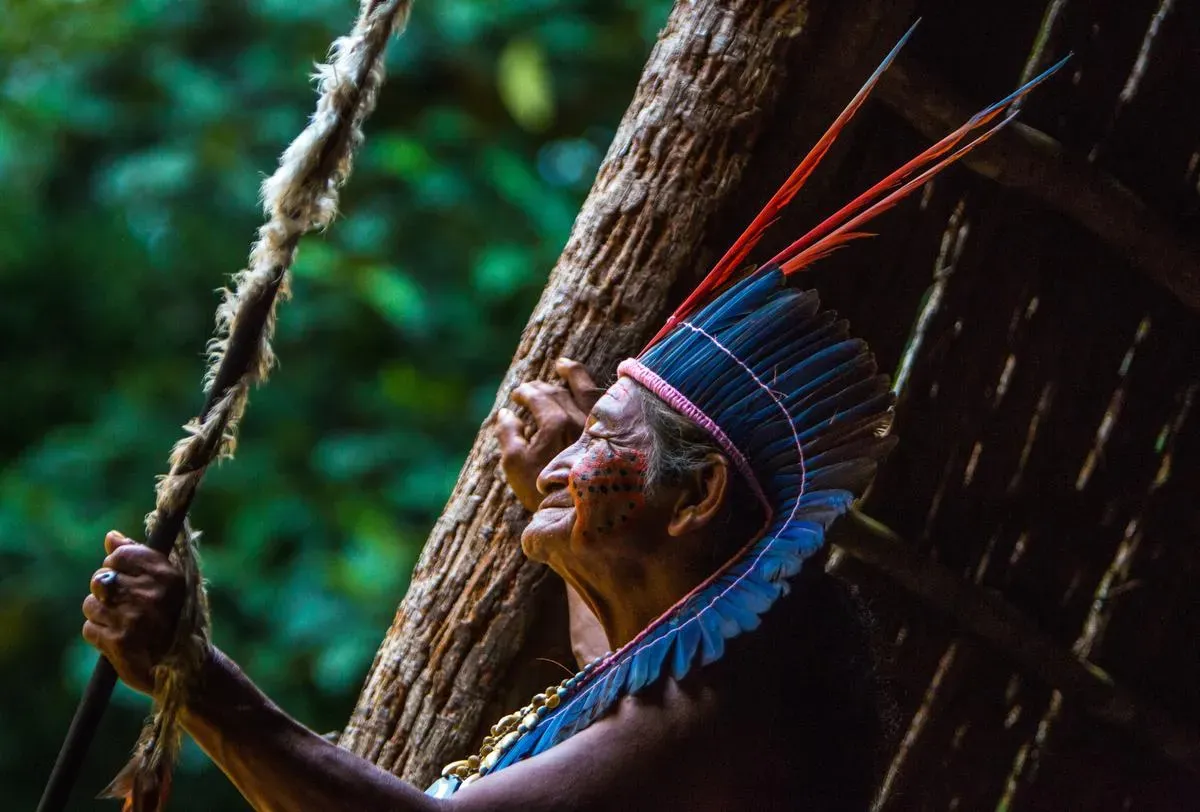 brasil-amazonas-21-10