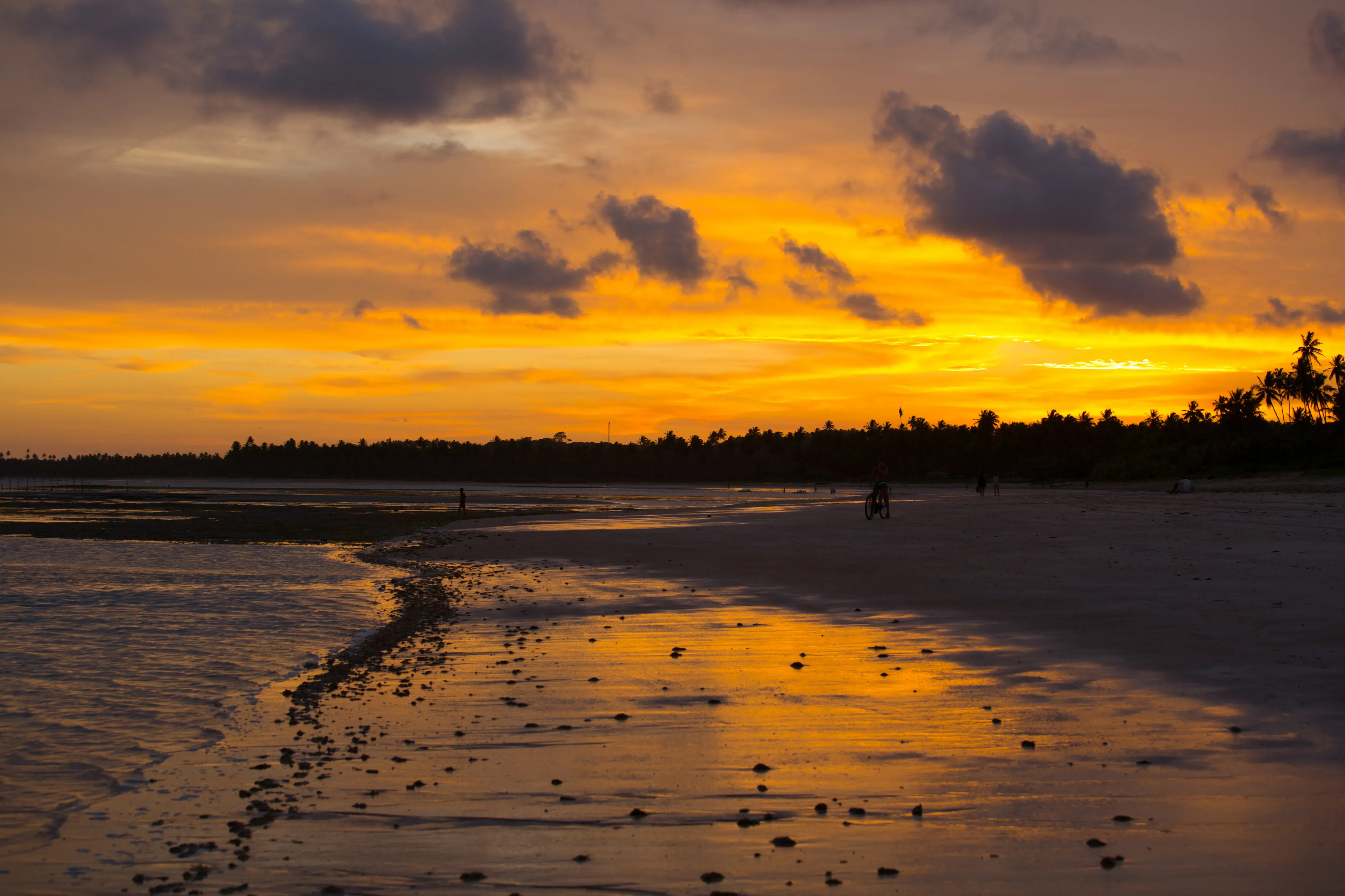 Alagoas