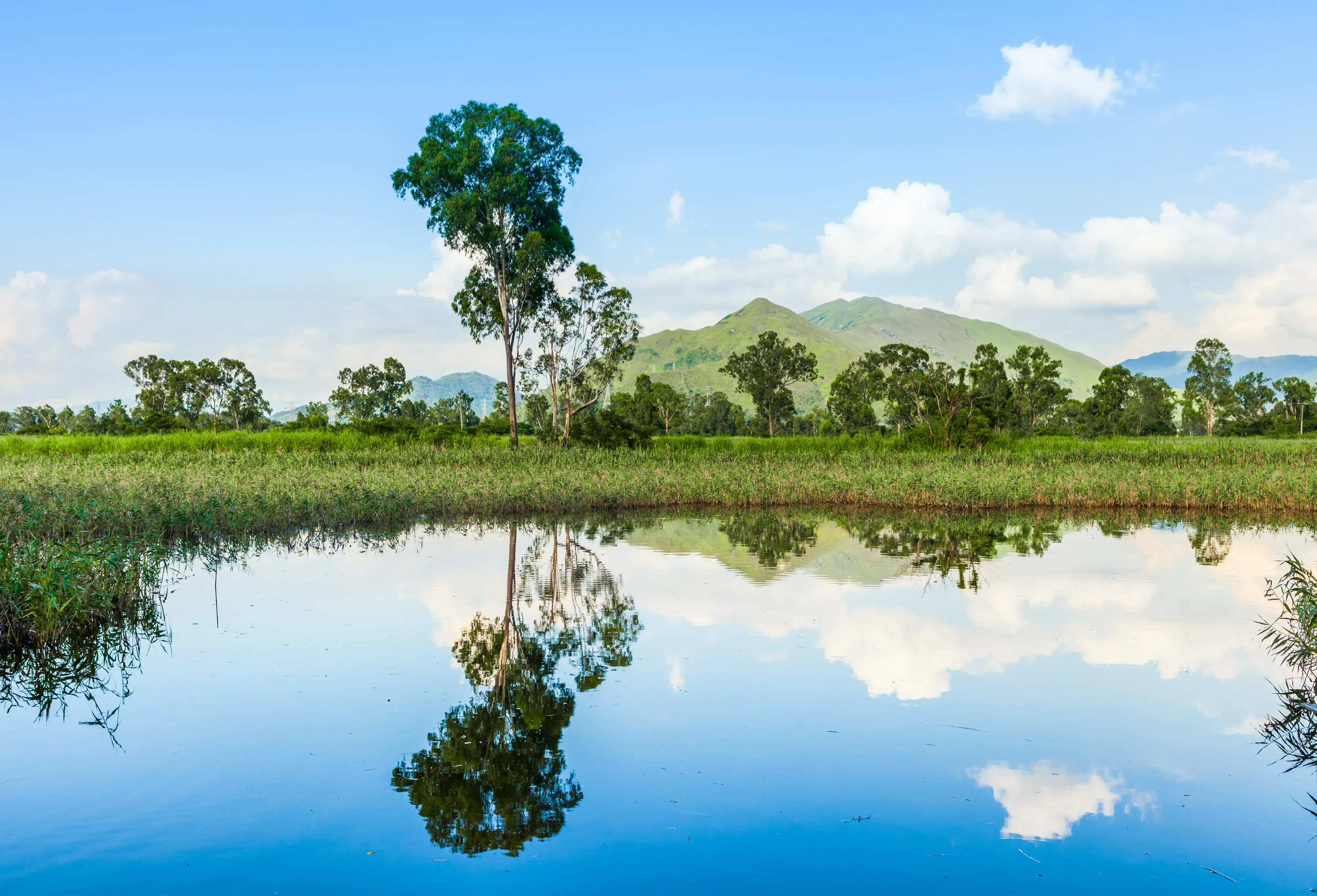 Mato Grosso