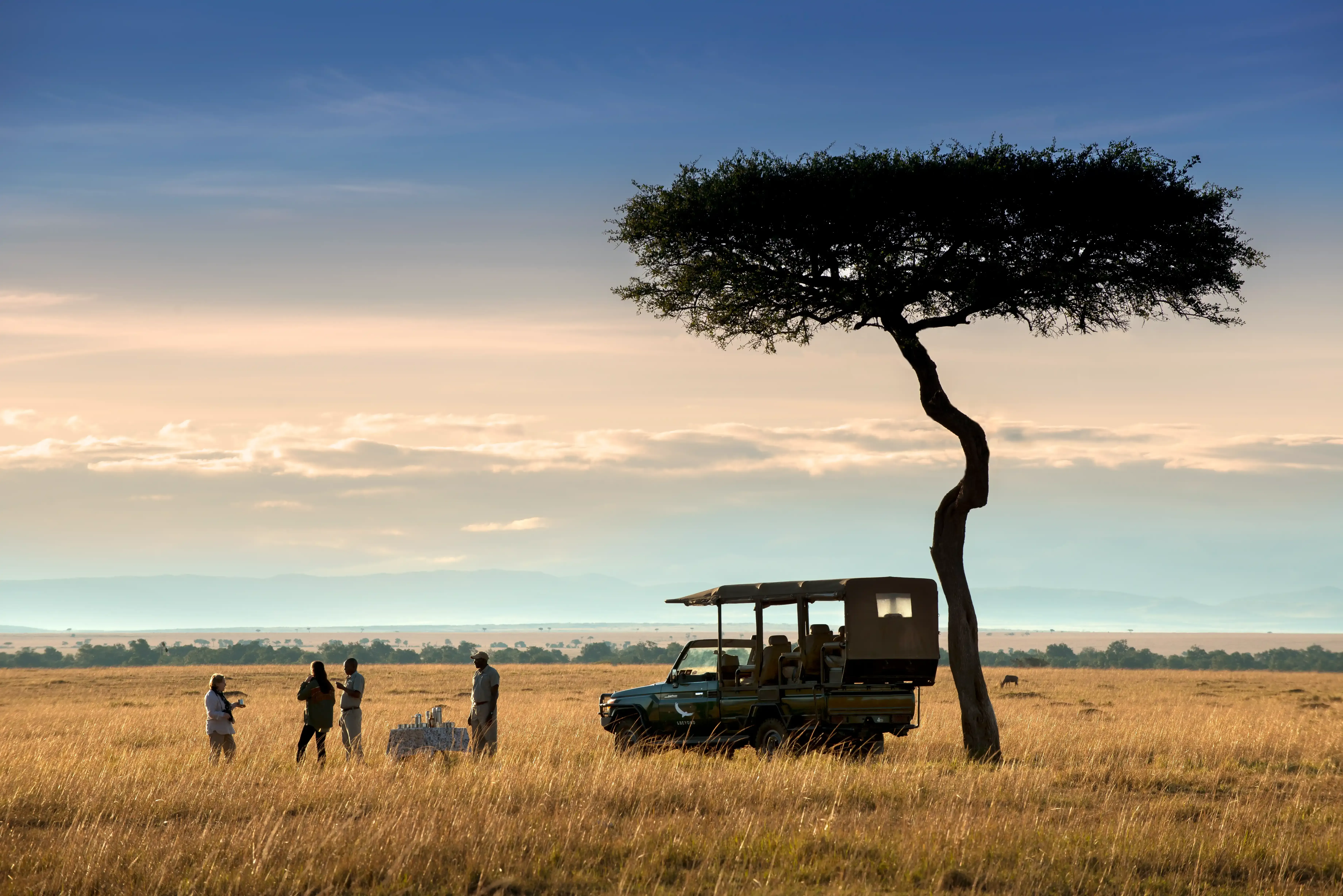 Kenya-camp-tree