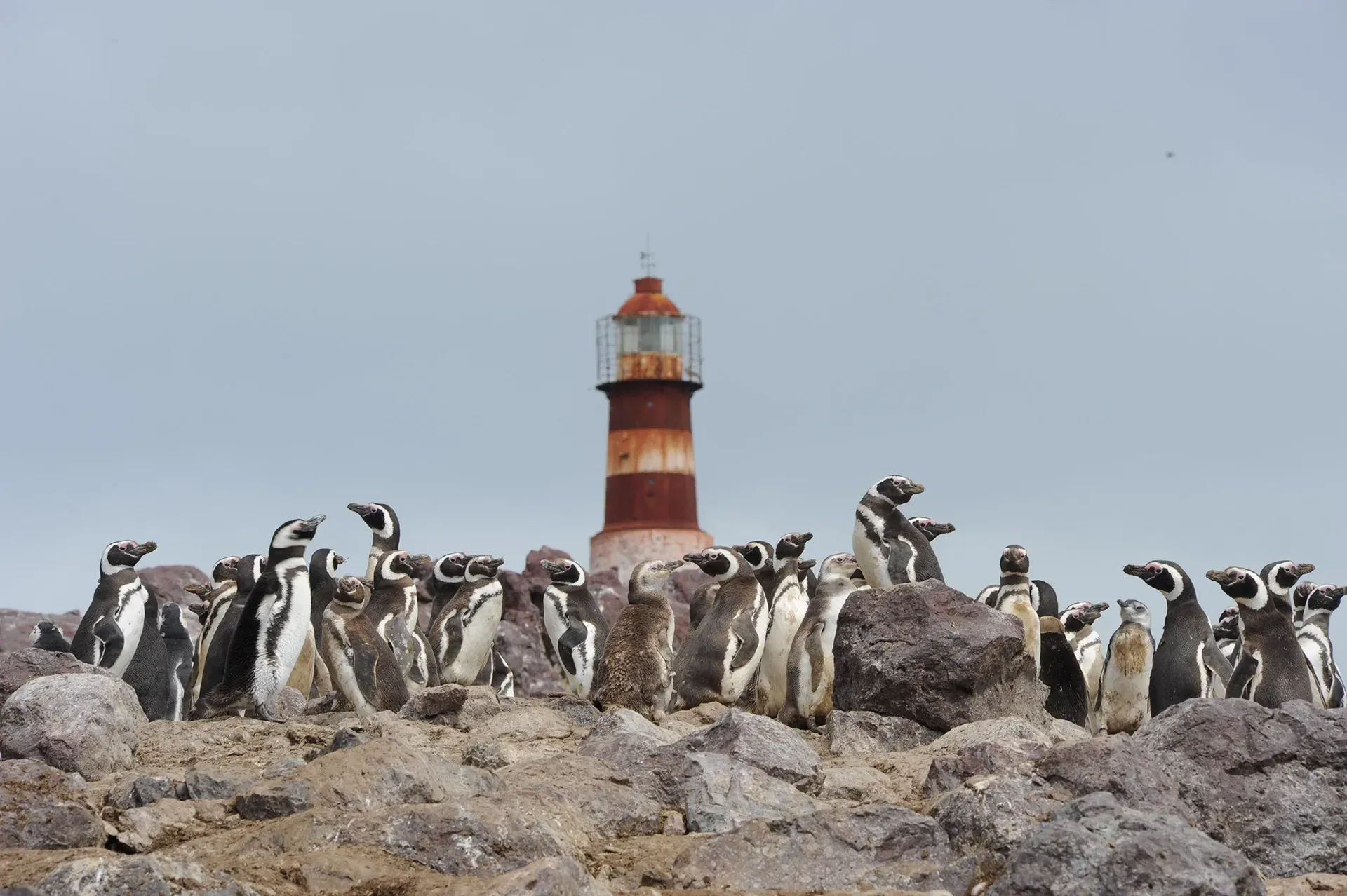 Patagônia Argentina