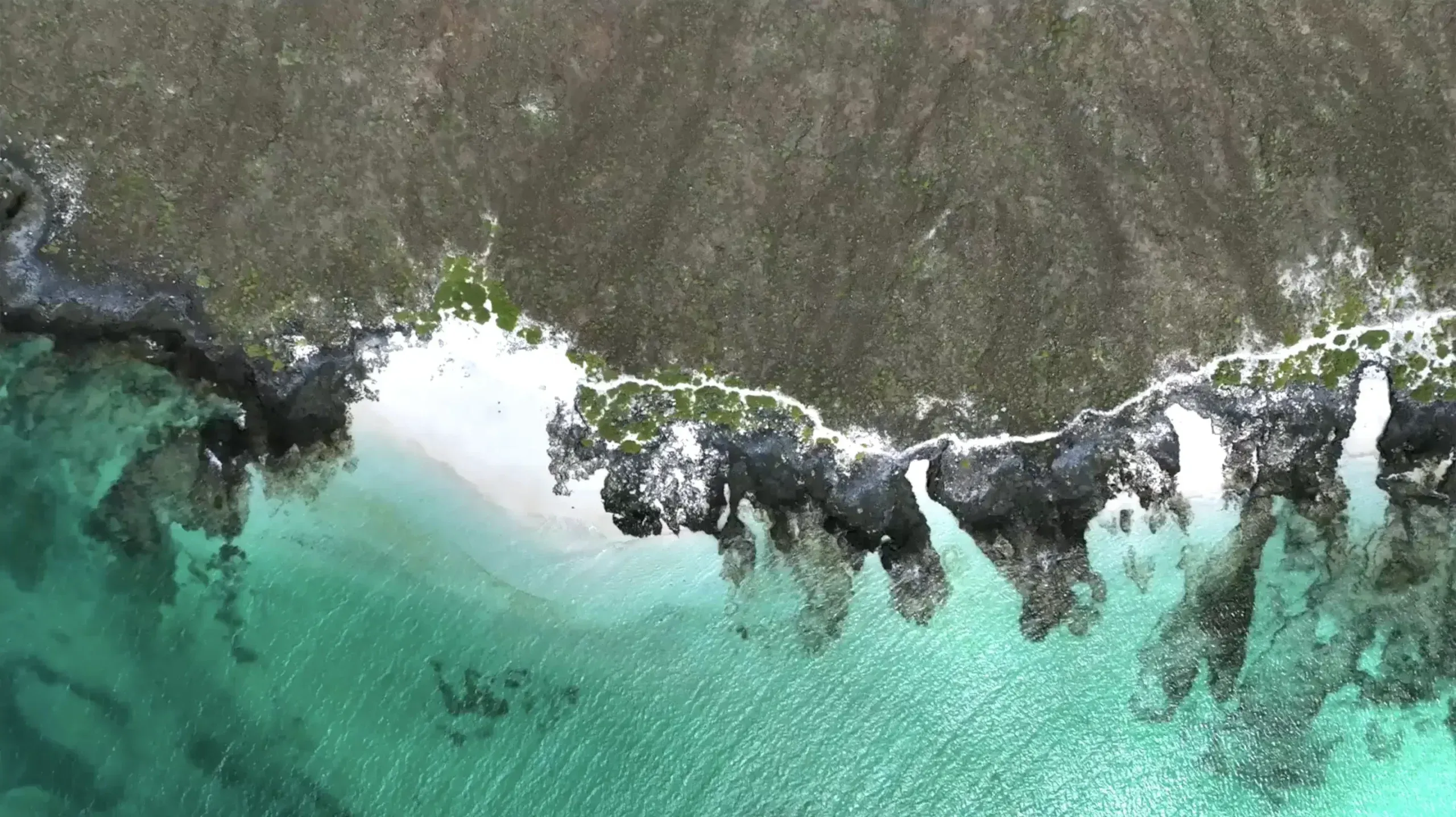 Pessoa em camelo no deserto