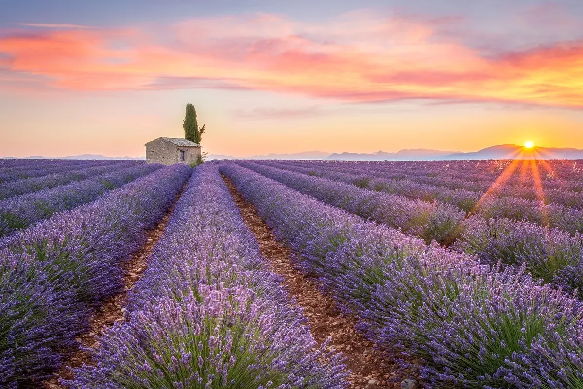 Provença e Cote d'Azur