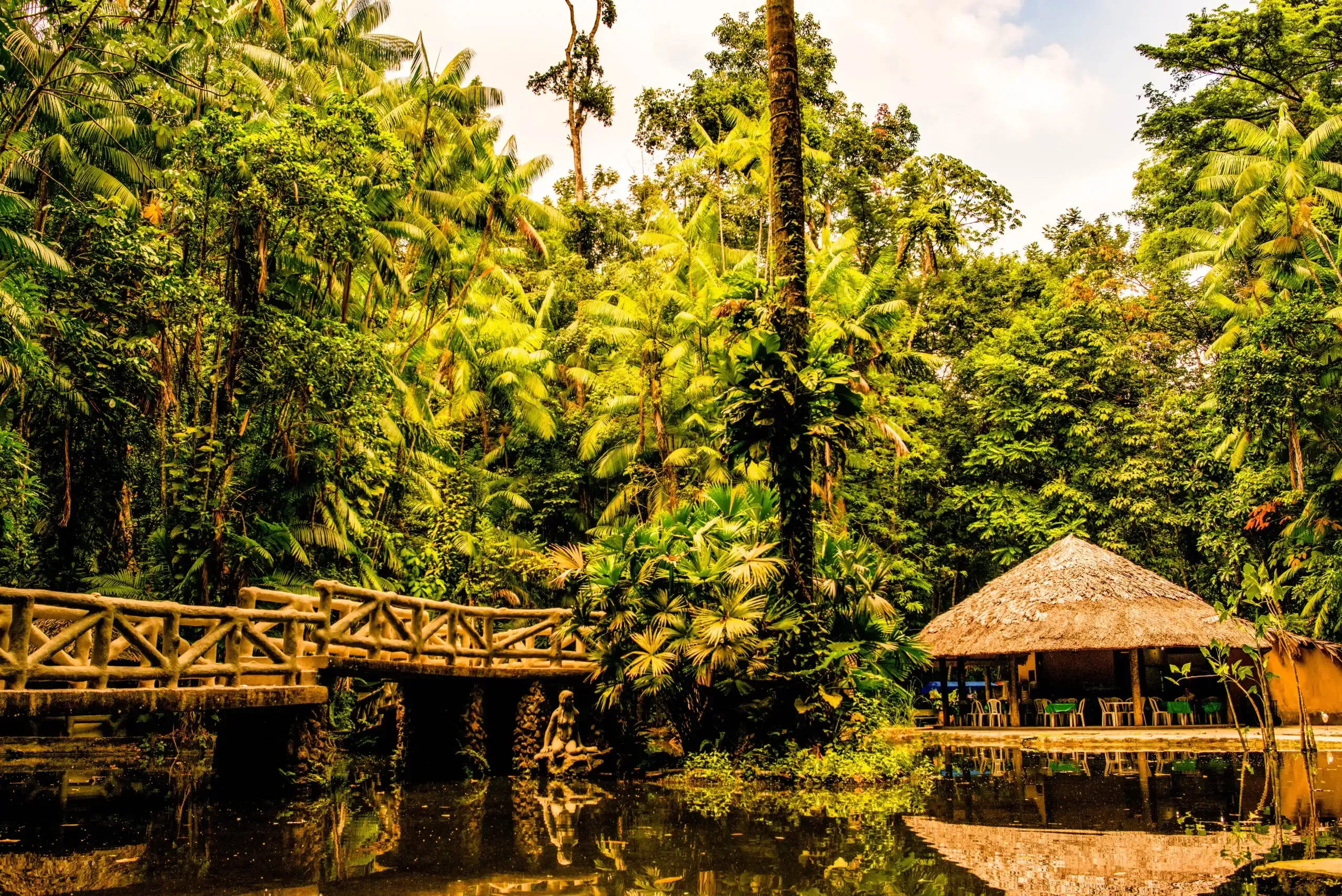 brasil-para-bosque-belem
