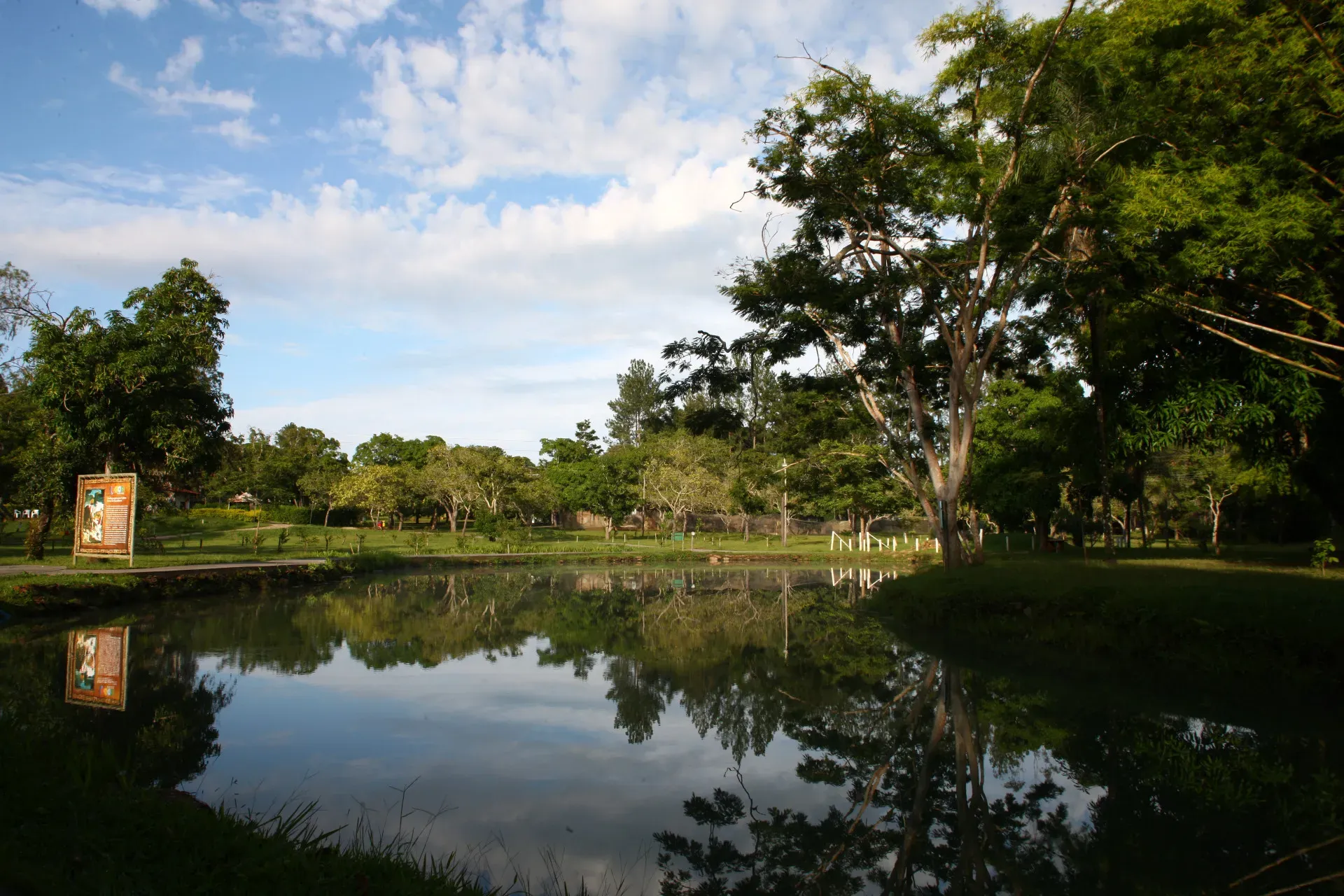 brasil-goias-piratipinga-02