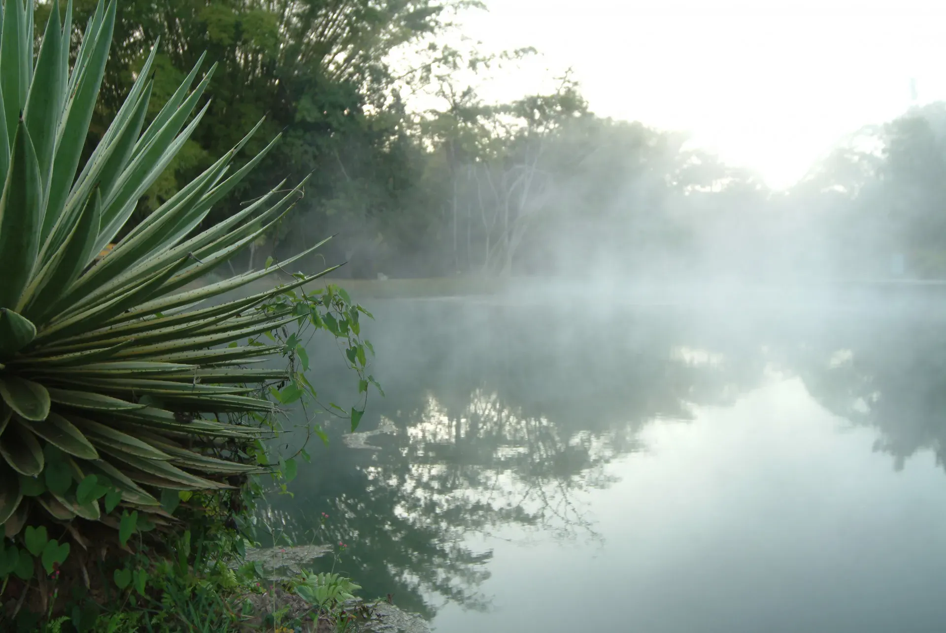 brasil-goias-piratipinga-01
