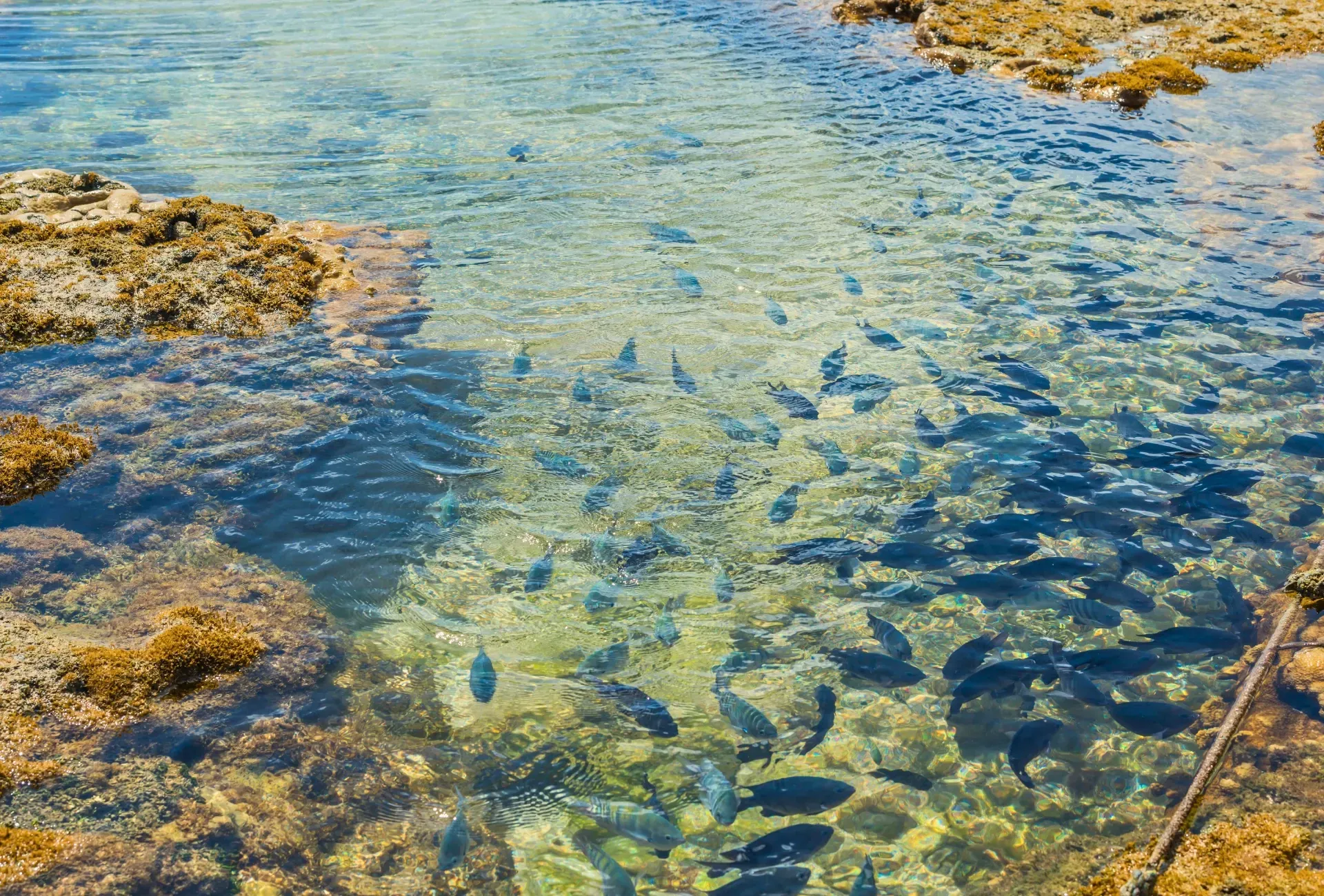 Porto de Galinhas