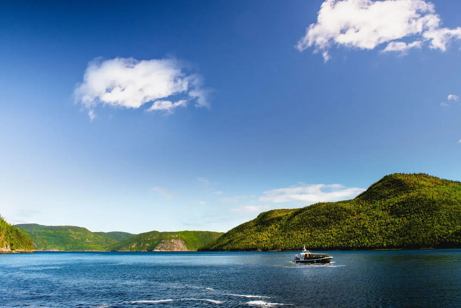 Pessoa em camelo no deserto