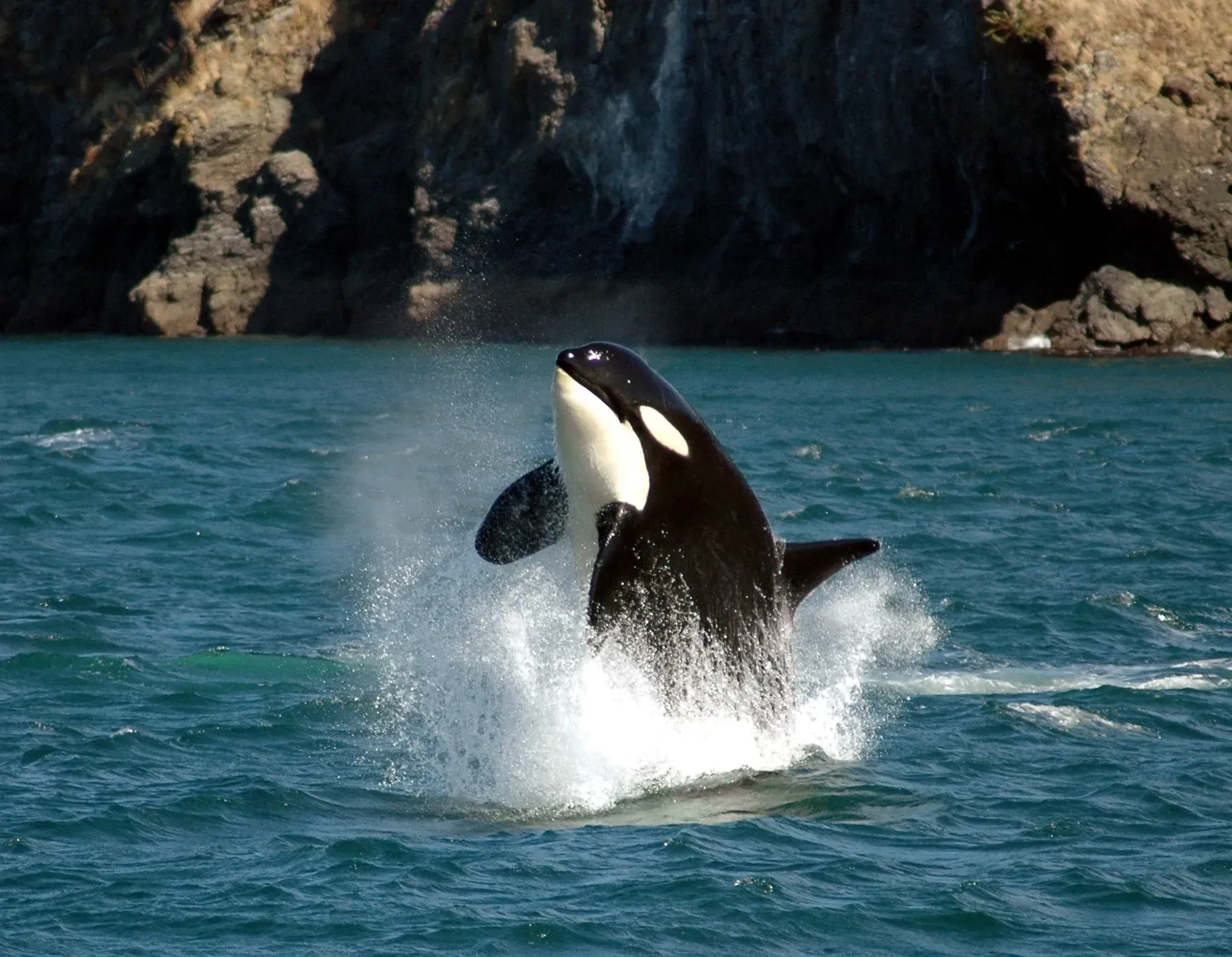 Pessoa em camelo no deserto