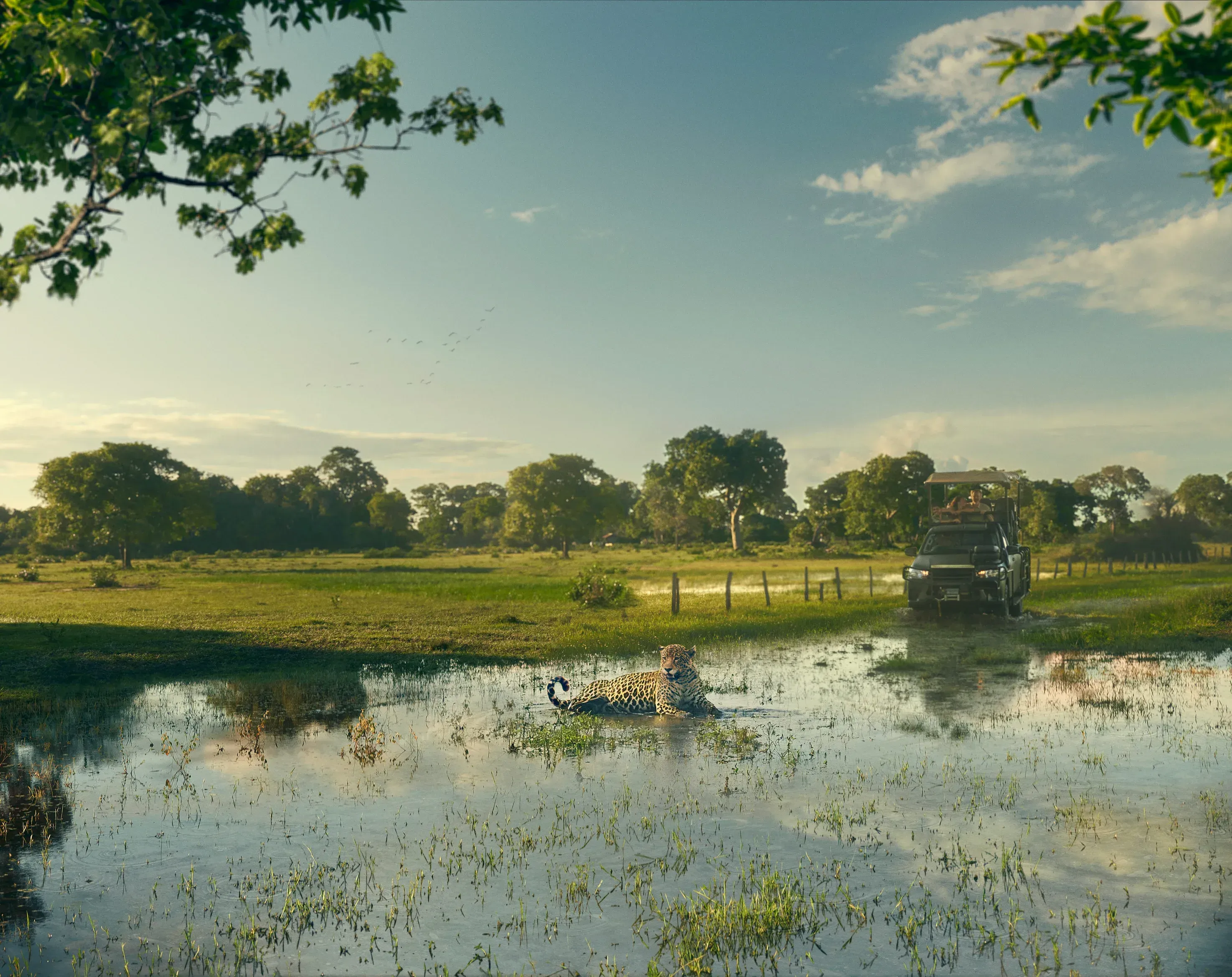 Centro Oeste - Brasil