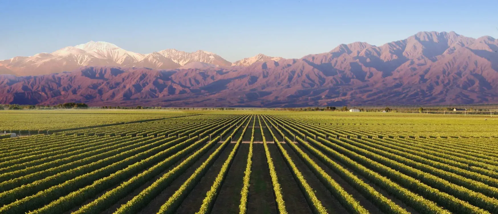 Pessoa em camelo no deserto