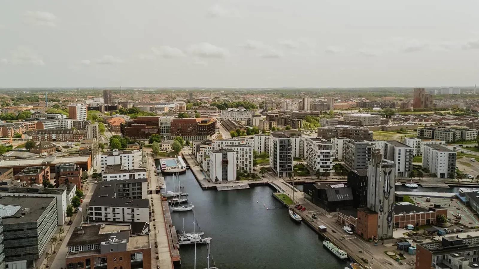 Pessoa em camelo no deserto