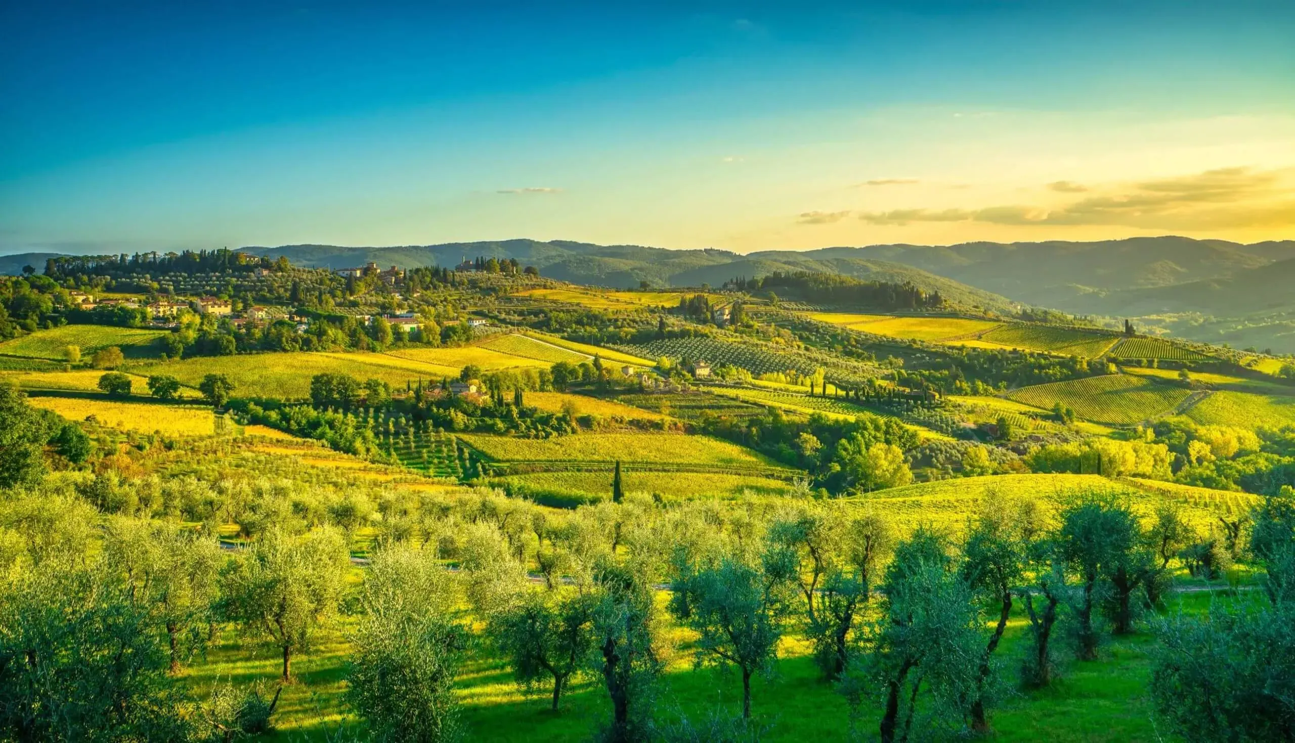 Toscana Enogastronômica Dinâmica