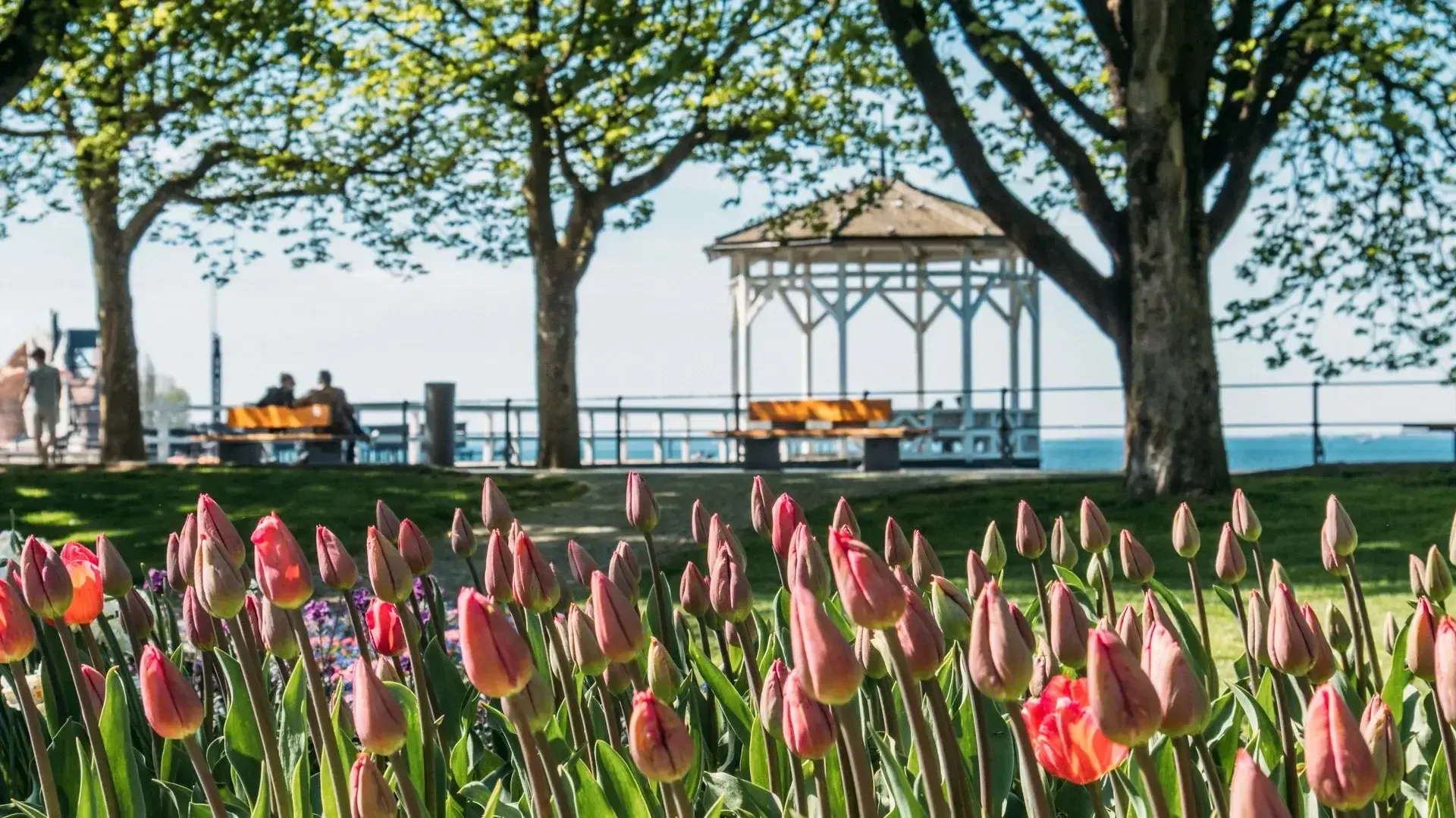 Constança, Bregenz, Austria
