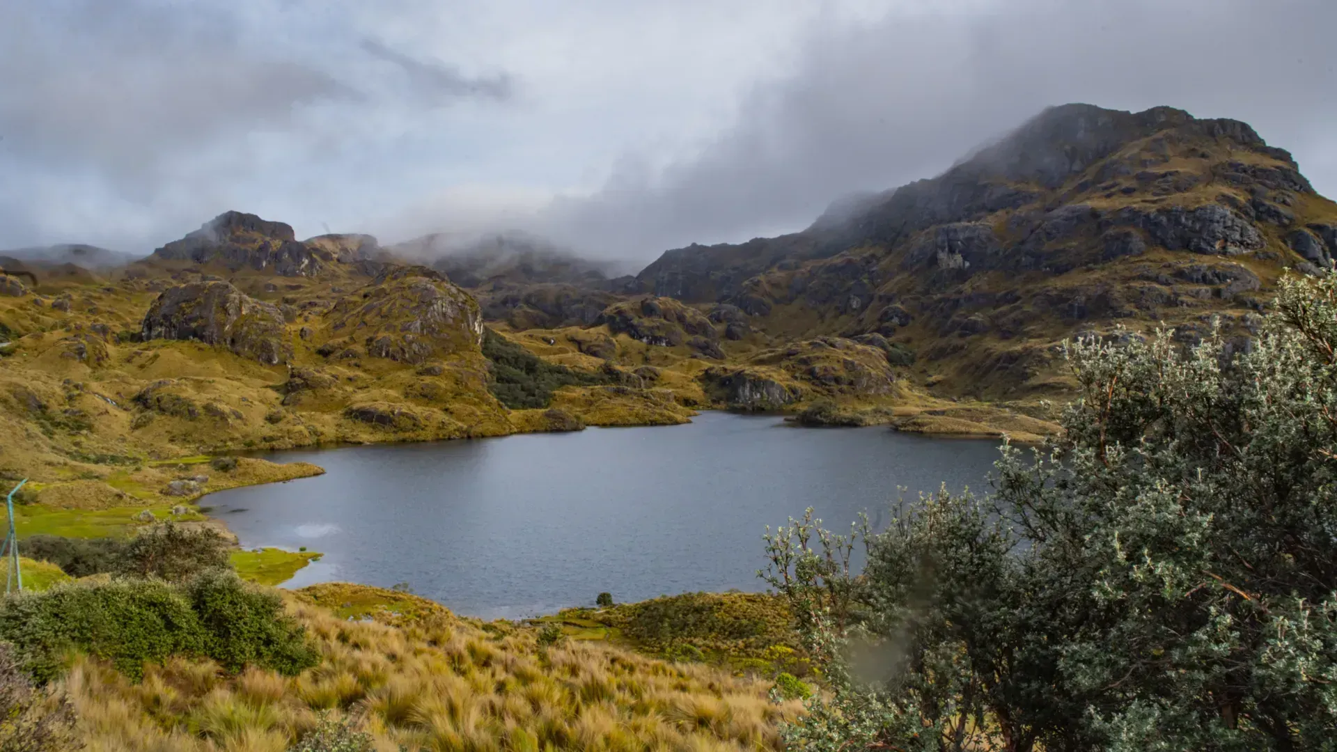 Parque Nacional El Cajas, Equador