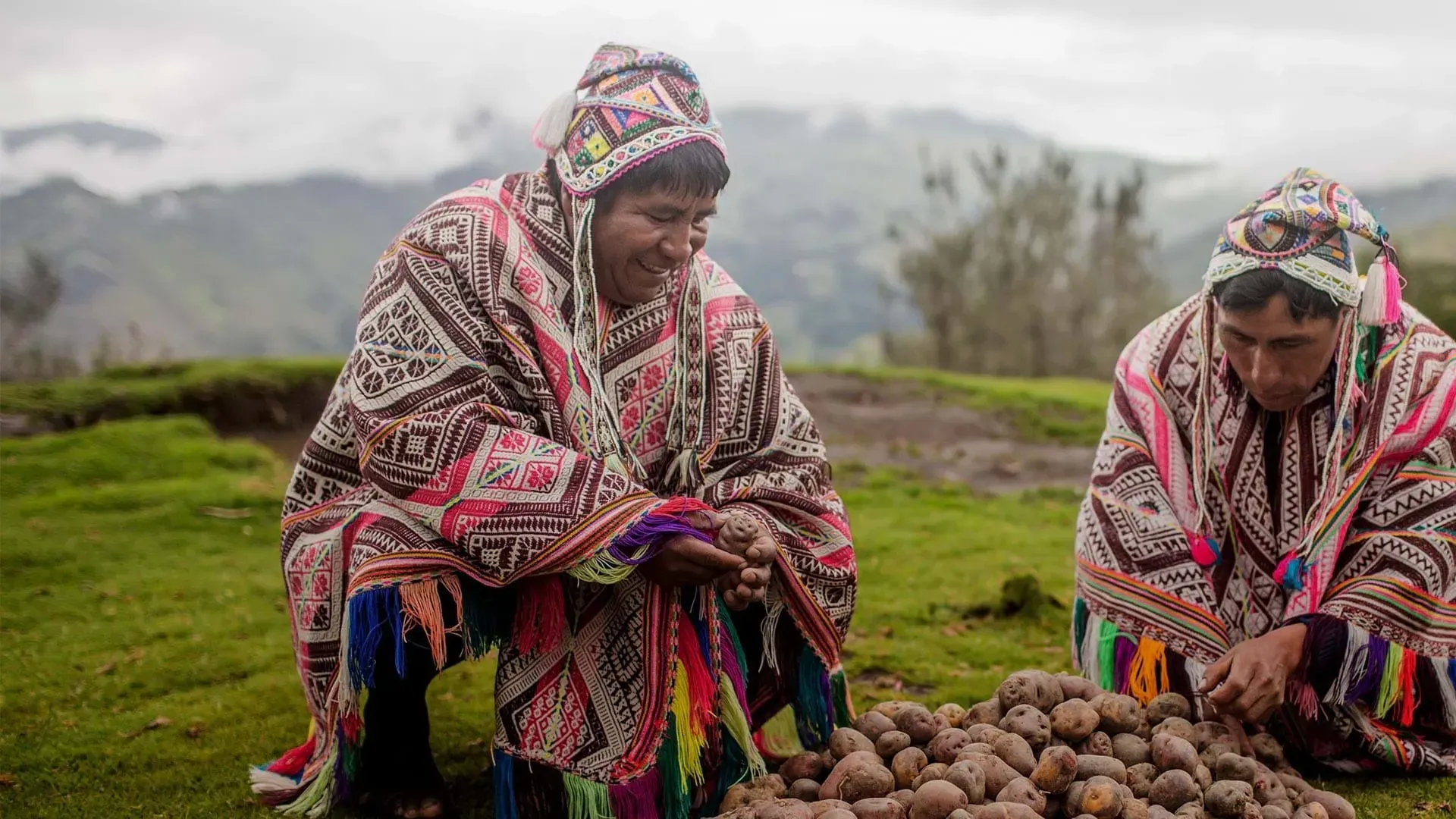 Batatas, Cusco, Peru