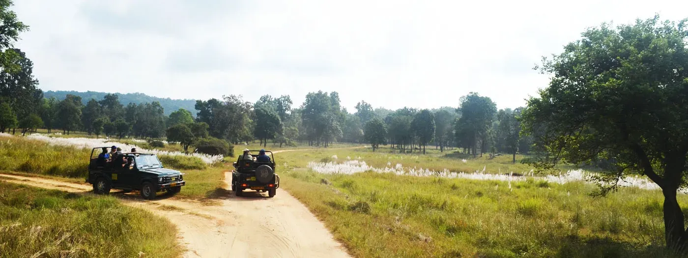 Safari em Satpura, Índia