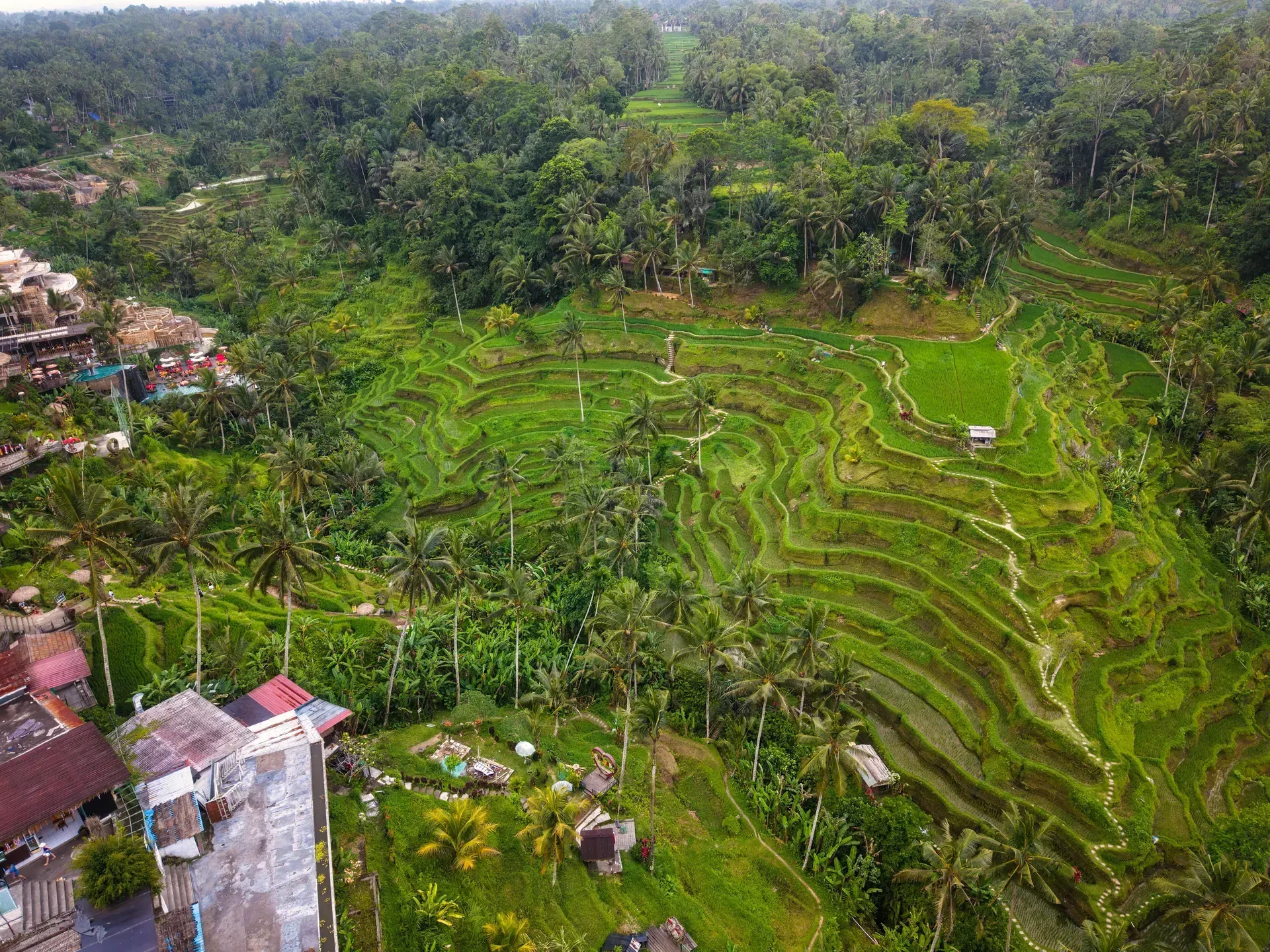 Tegallalang Rice Terrace em Bali, Indonésia