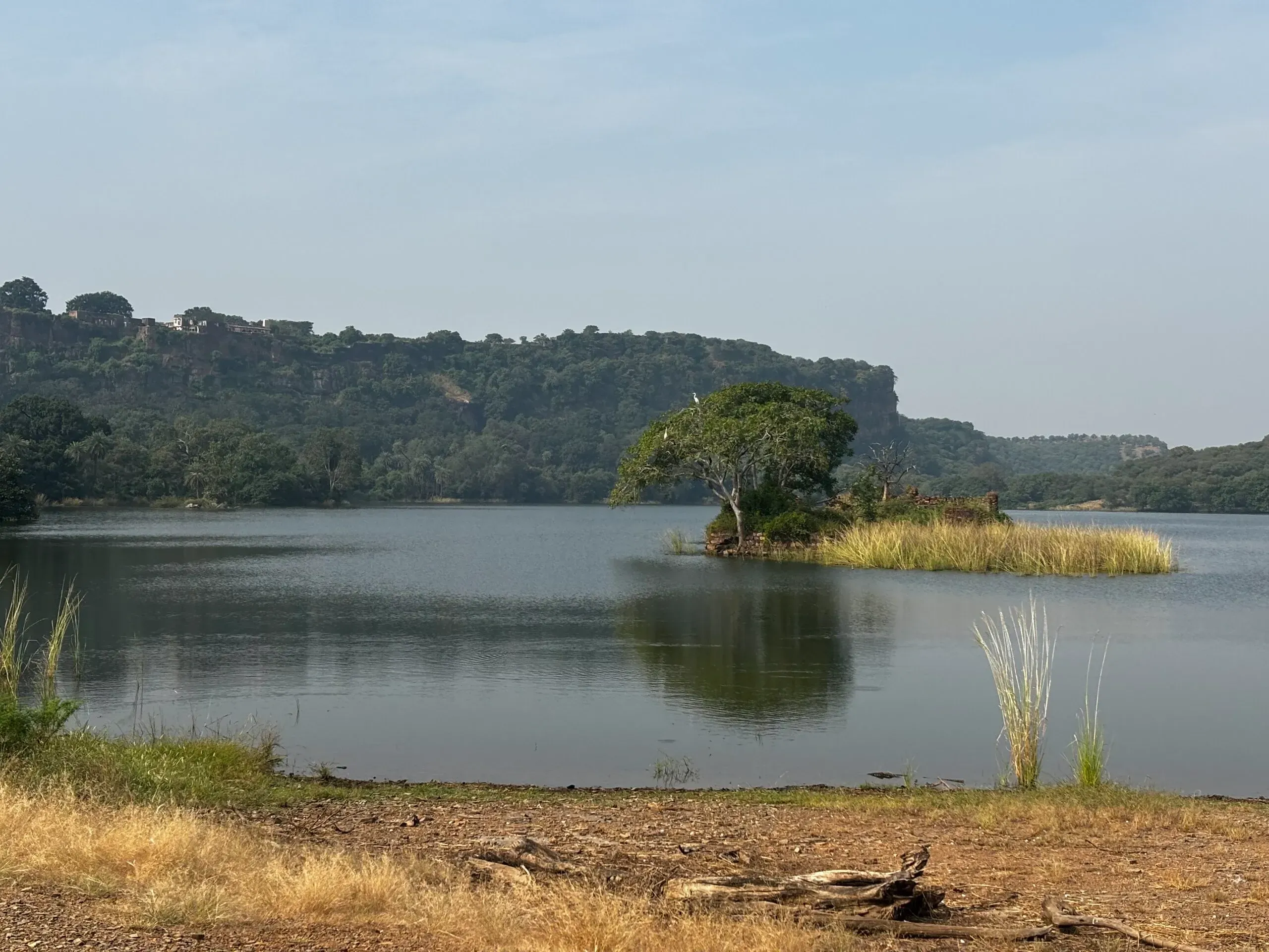 Lago no Parque Nacional Rathambore, Índia