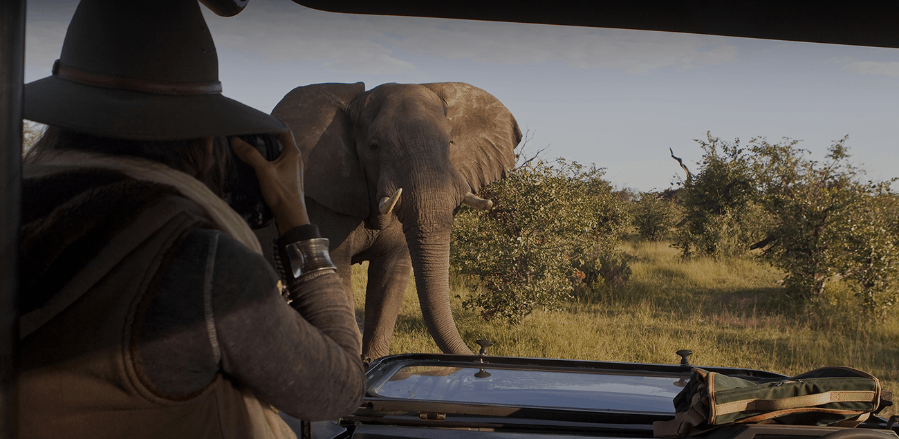 Pessoa em camelo no deserto