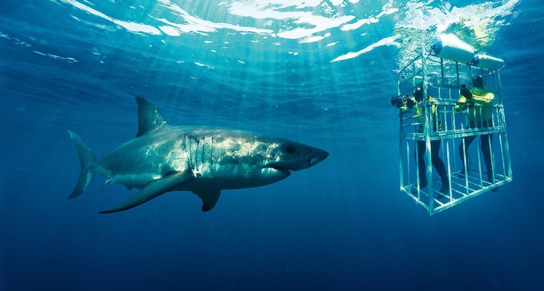 Pessoa em camelo no deserto