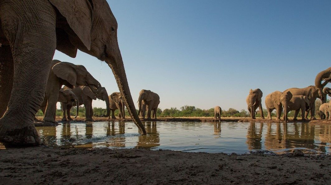 Aventura na Rota Jardim