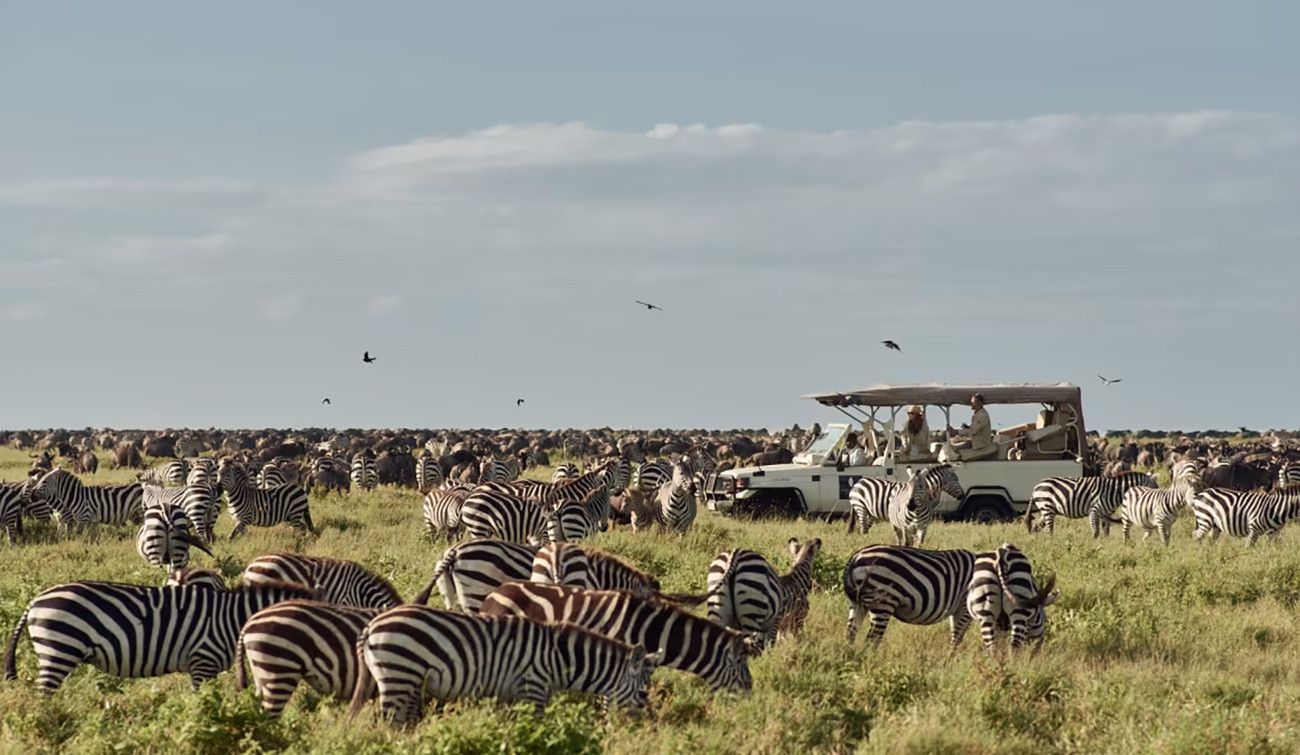 Quênia e Tanzânia e Santuários da África Oriental
