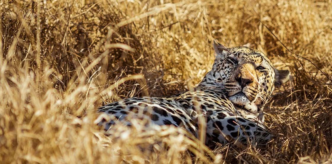 Southern Africa Deluxe