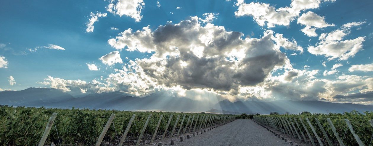 Noroeste Argentino e Rota do Vinho