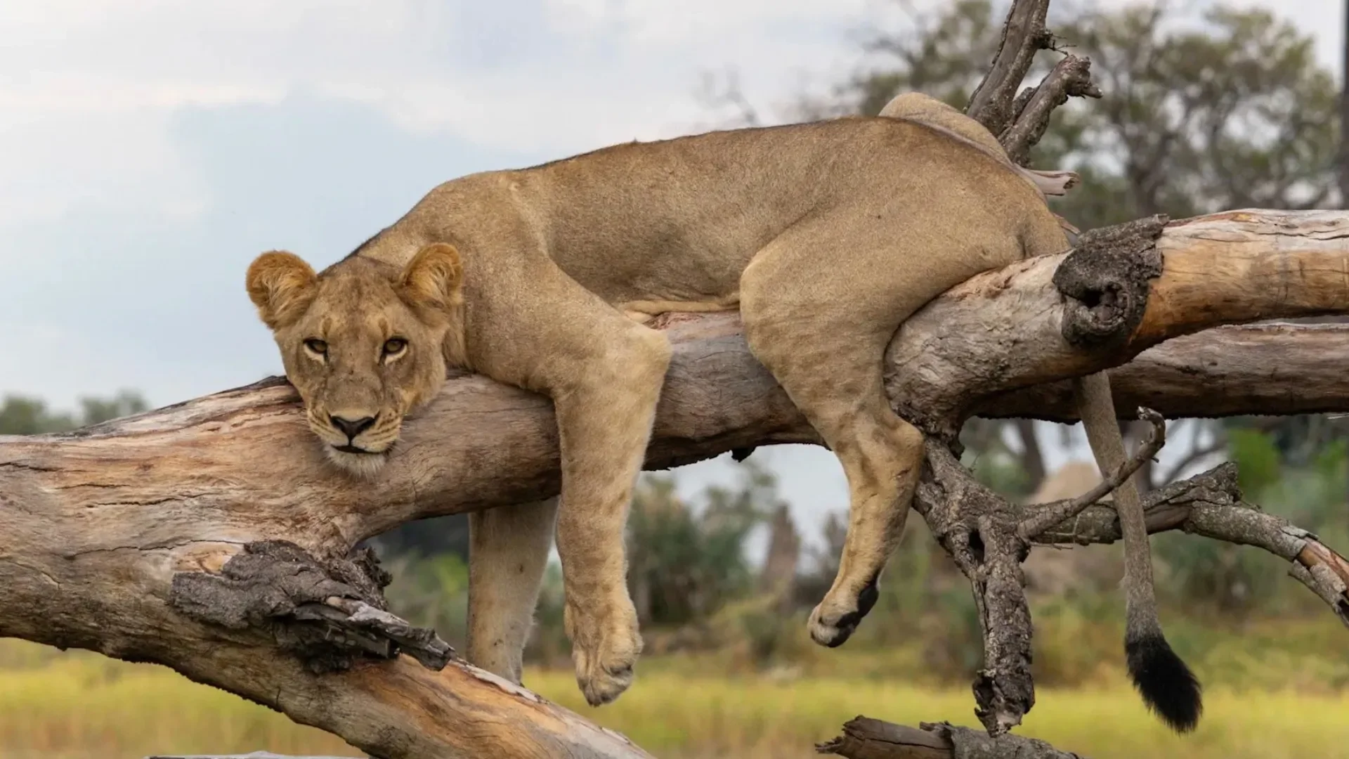 Botswana