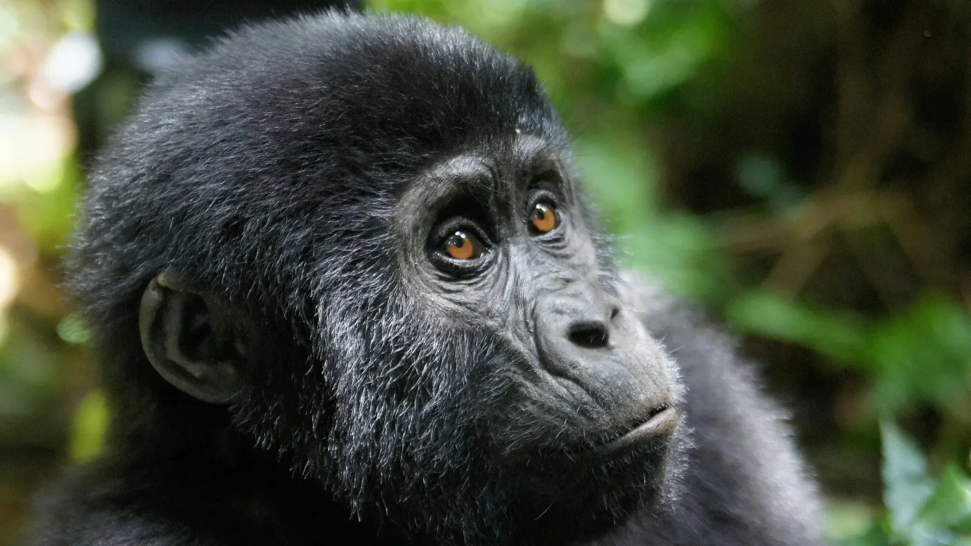 Uganda