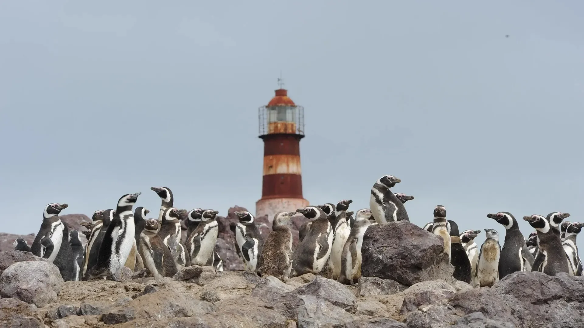 Patagônia Argentina