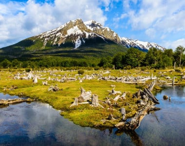 Buenos Aires & Ushuaia