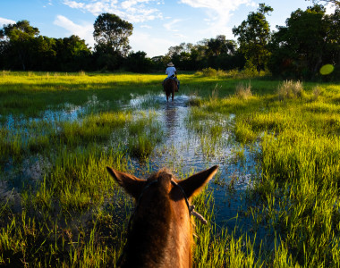 Bonito com Pantanal