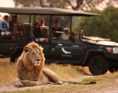 Botswana um Safári com Estilo 