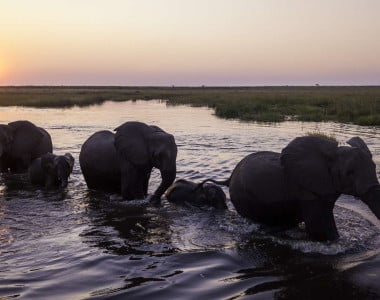 Botswana By Wilderness Safaris 