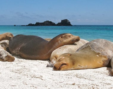 Ilhas Galápagos: Yacht la Pinta