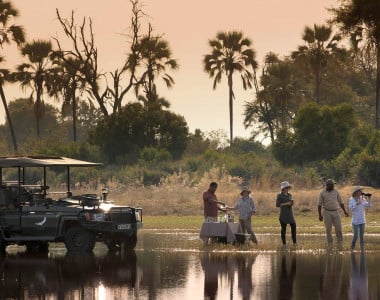 Botswana com Delta do Okavango e Reserva Moremi