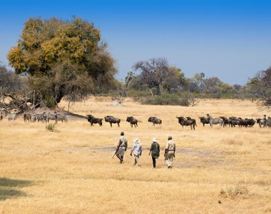 O melhor da África Austral Luxury