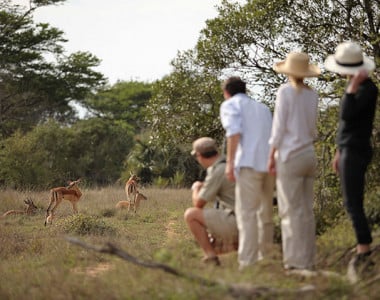 Grande Safari na África do Sul 