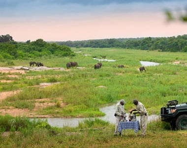 Safari na África do Sul Sabi Sand e Cape Town – Luxury