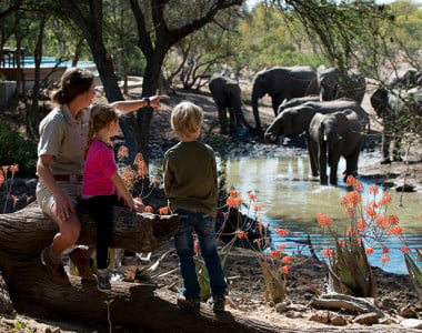 Safari Wild Child Adventure - Luxury